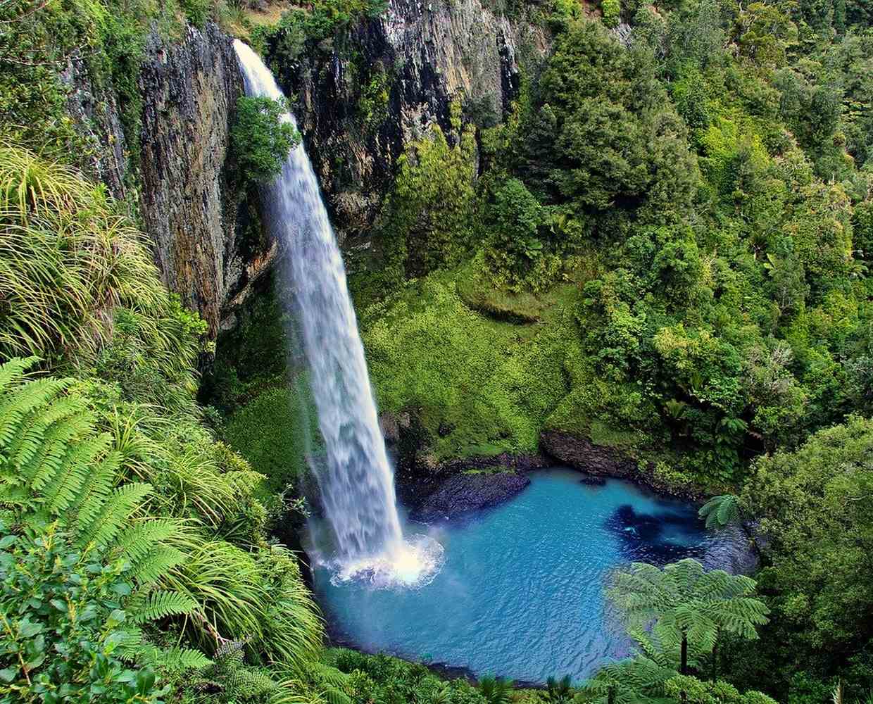 Les Éclaireurs du Voyage - Destination - Nouvelle Zélande - Itinéraire 1 - Image itinéraire - bridal veil fall by Holger Detje on Pixabay