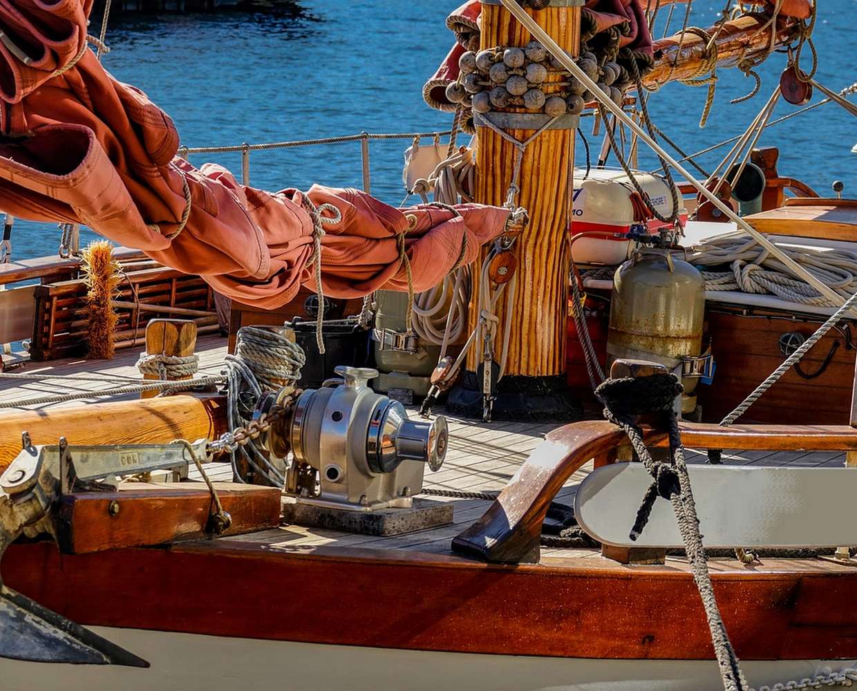 Les Éclaireurs du Voyage - Destination - Nouvelle Zélande - Itinéraire 2 - Image itinéraire - excursion dauphin by zephylwer0 on Pixabay