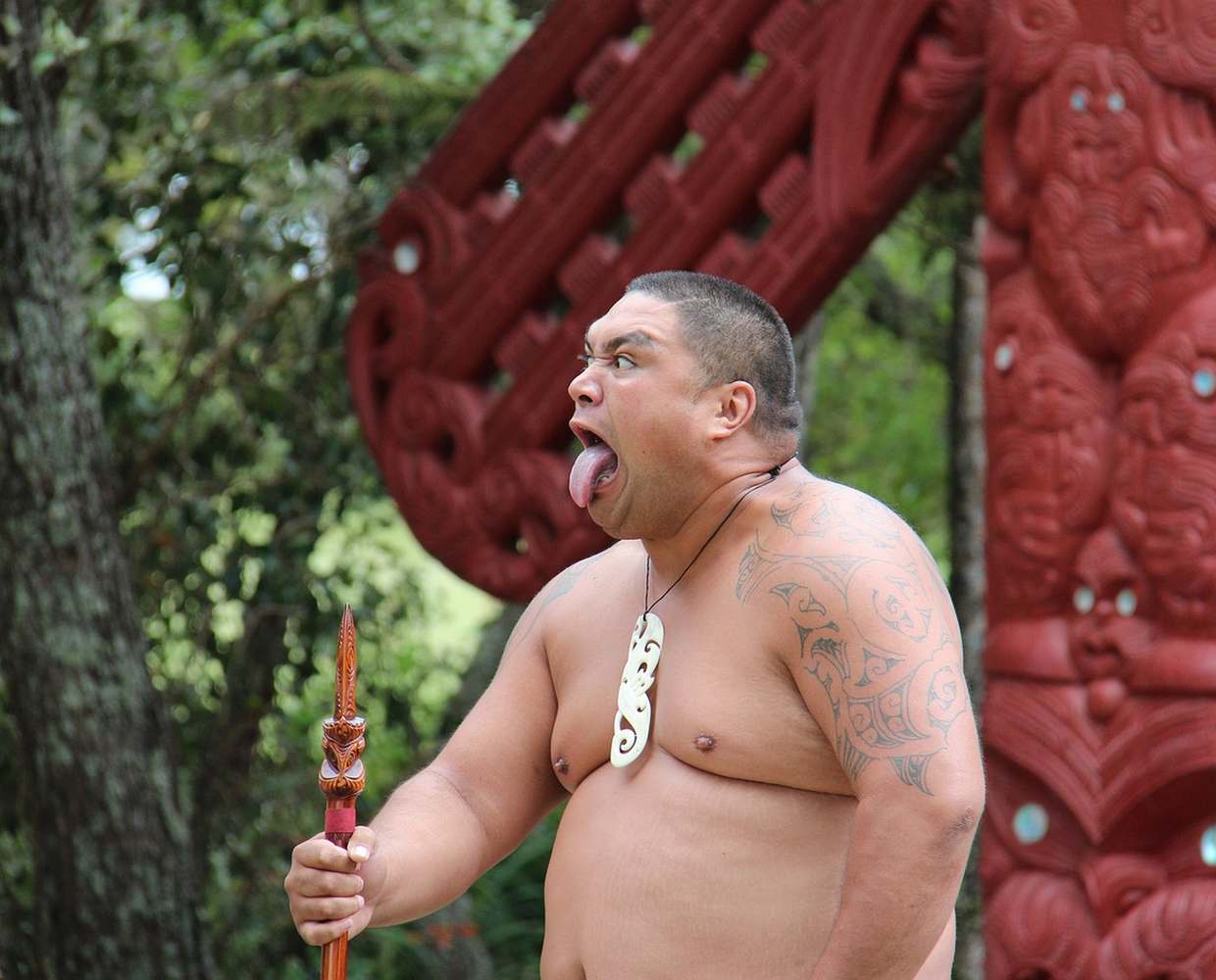 Les Éclaireurs du Voyage - Destination - Nouvelle Zélande - Itinéraire 1 - Image itinéraire - Maori by Nydegger René on Pixabay