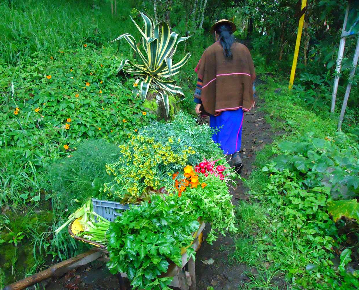 Les Éclaireurs du Voyage - Destination - Colombie - Itinéraire 3 - Image itinéraire - Misak by Stéphanie Taupin