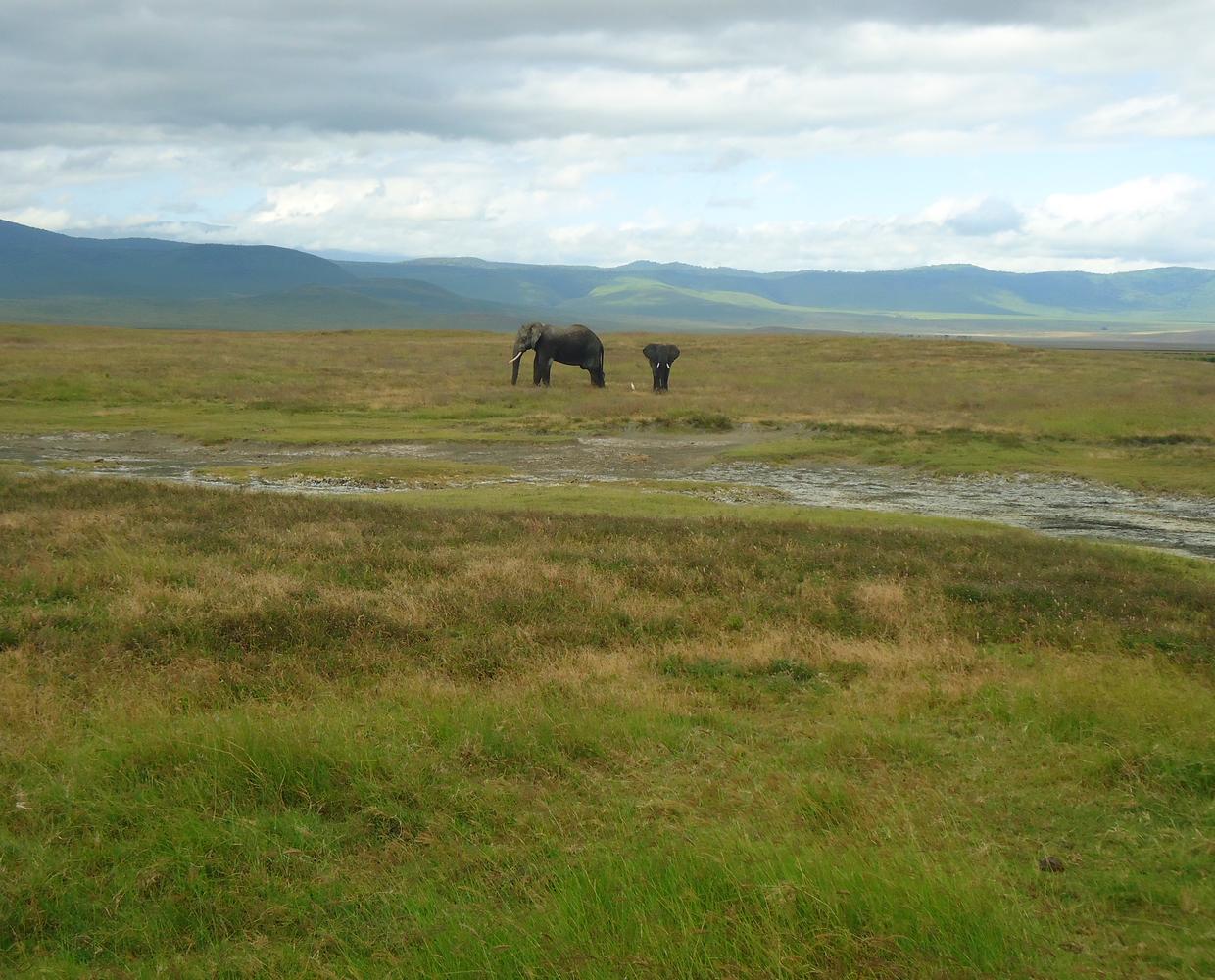 Les Éclaireurs du Voyage - Destination - Tanzanie - Itinéraire 3 - Image itinéraire - safari Ngorongoro by stéphanie taupin