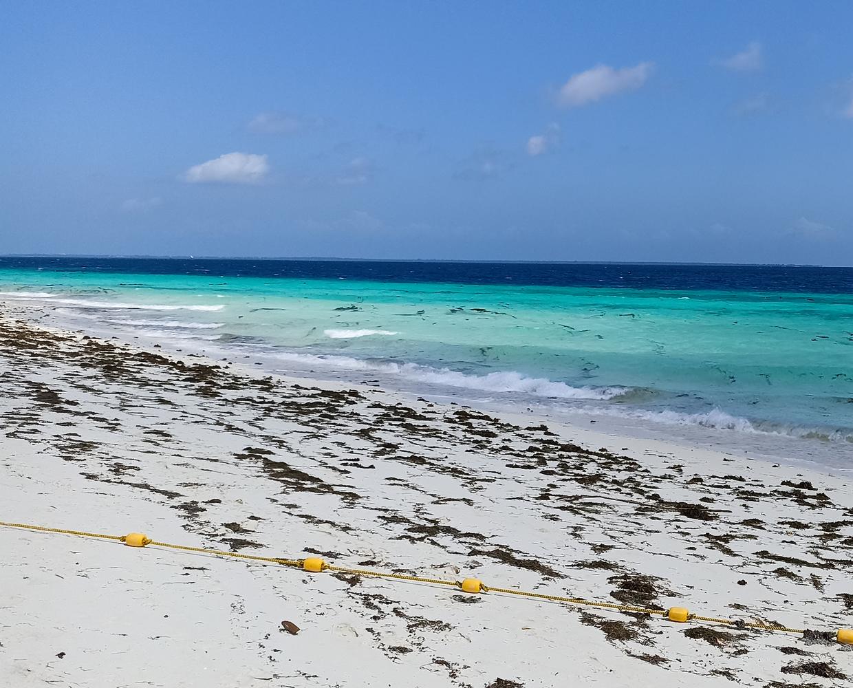 Les Éclaireurs du Voyage - Destination - Tanzanie - Itinéraire 3 - Image itinéraire - zanzibar plage by stéphanie taupin