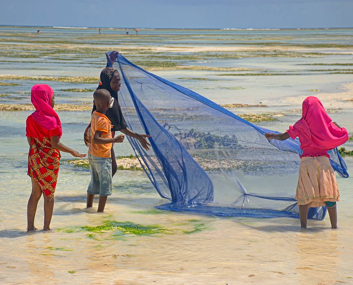 Les Éclaireurs du Voyage - Destination - Zanzibar - Itinéraire 1 - Image itinéraire - unguja by Agnieszka on Pixabay