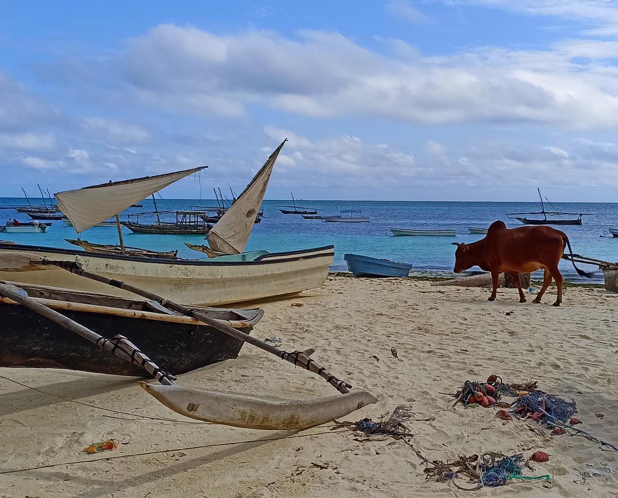 Les Éclaireurs du Voyage - Destination - Zanzibar - Itinéraire 2 - Image itinéraire - village by stéphanie taupin