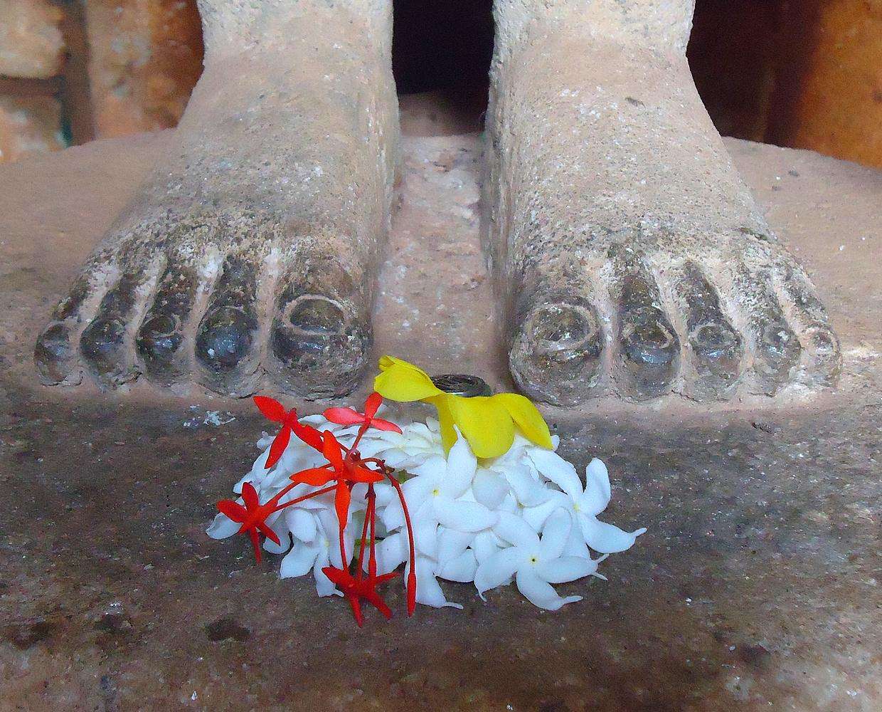 Les Éclaireurs du Voyage - Destination - Sri Lanka - Itinéraire 1 - Image itinéraire - spécialiste du Sri Lanka by Stéphanie Taupin