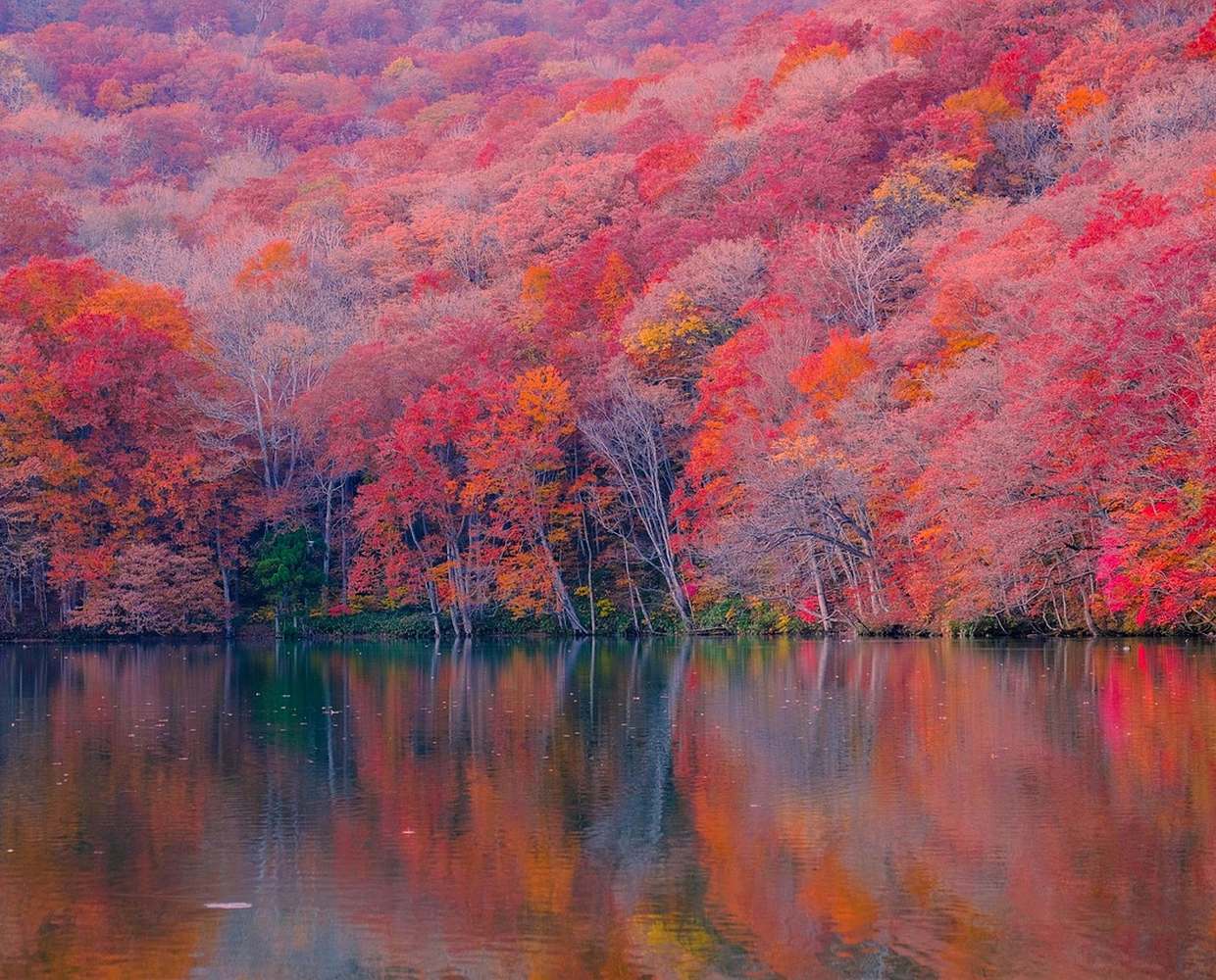 Les Éclaireurs du Voyage - Journal - Blog - Article 23 - Canada été indien by phuong vu on Pixabay