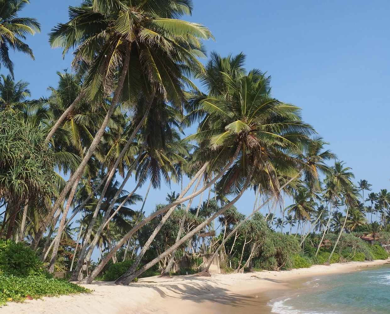 Les Éclaireurs du Voyage - Destination - Sri Lanka - Itinéraire 4 - Image itinéraire - Thalpe by Katerina Rubasova on Pixabay