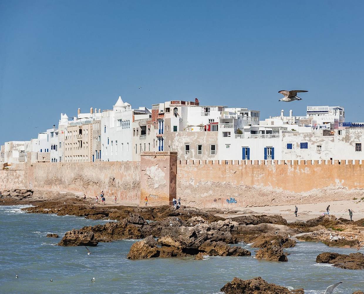 Les Éclaireurs du Voyage - Destination - Maroc - Itinéraire 1 - Image itinéraire - Essaouira by Laszlo Wallner on Pixabay