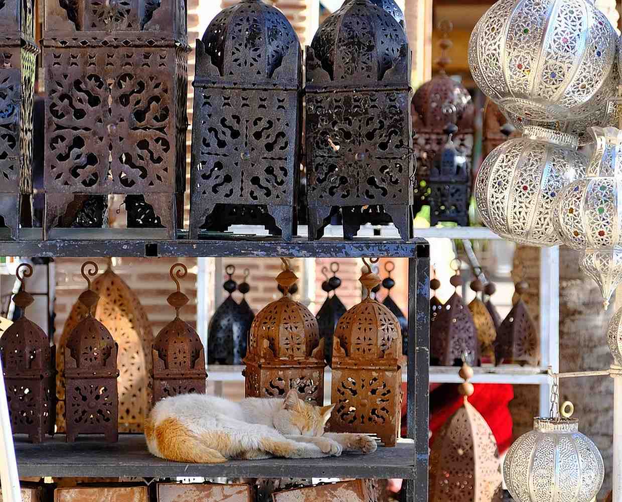 Les Éclaireurs du Voyage - Destination - Maroc - Itinéraire 2 - Image itinéraire - Marrakech by Greg Gulik on Pixabay