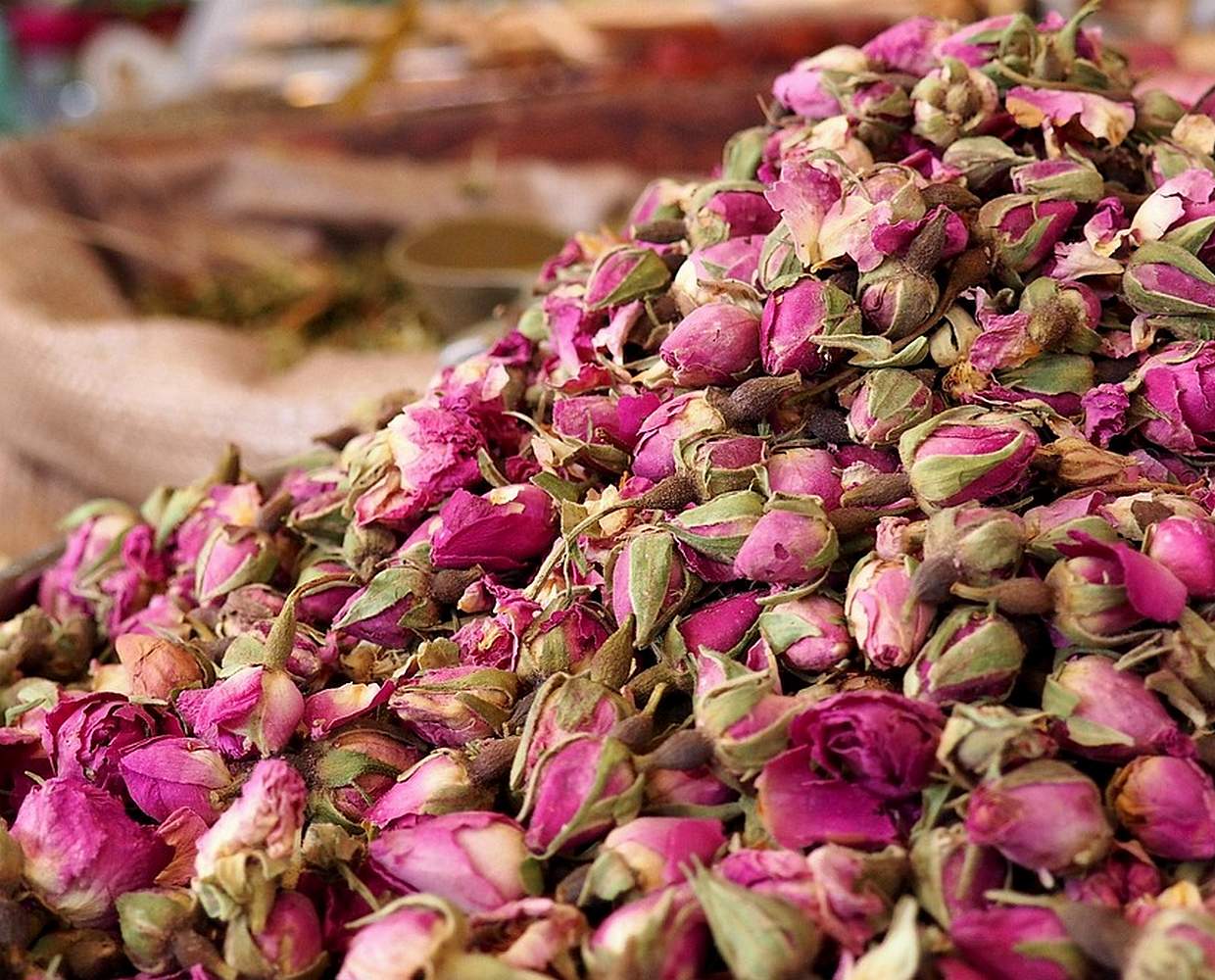 Les Éclaireurs du Voyage - Destination - Maroc - Itinéraire 3 - Image itinéraire - Vallée des roses by Hypatie on Pixabay