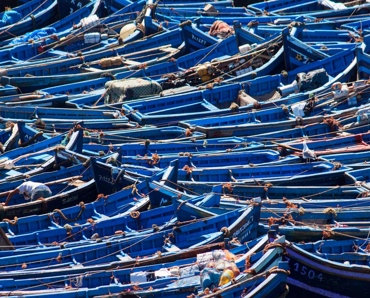 Les Éclaireurs du Voyage - Destination - Maroc - Itinéraire 3 - Image itinéraire - Essaouira by Bernd on Pixabay