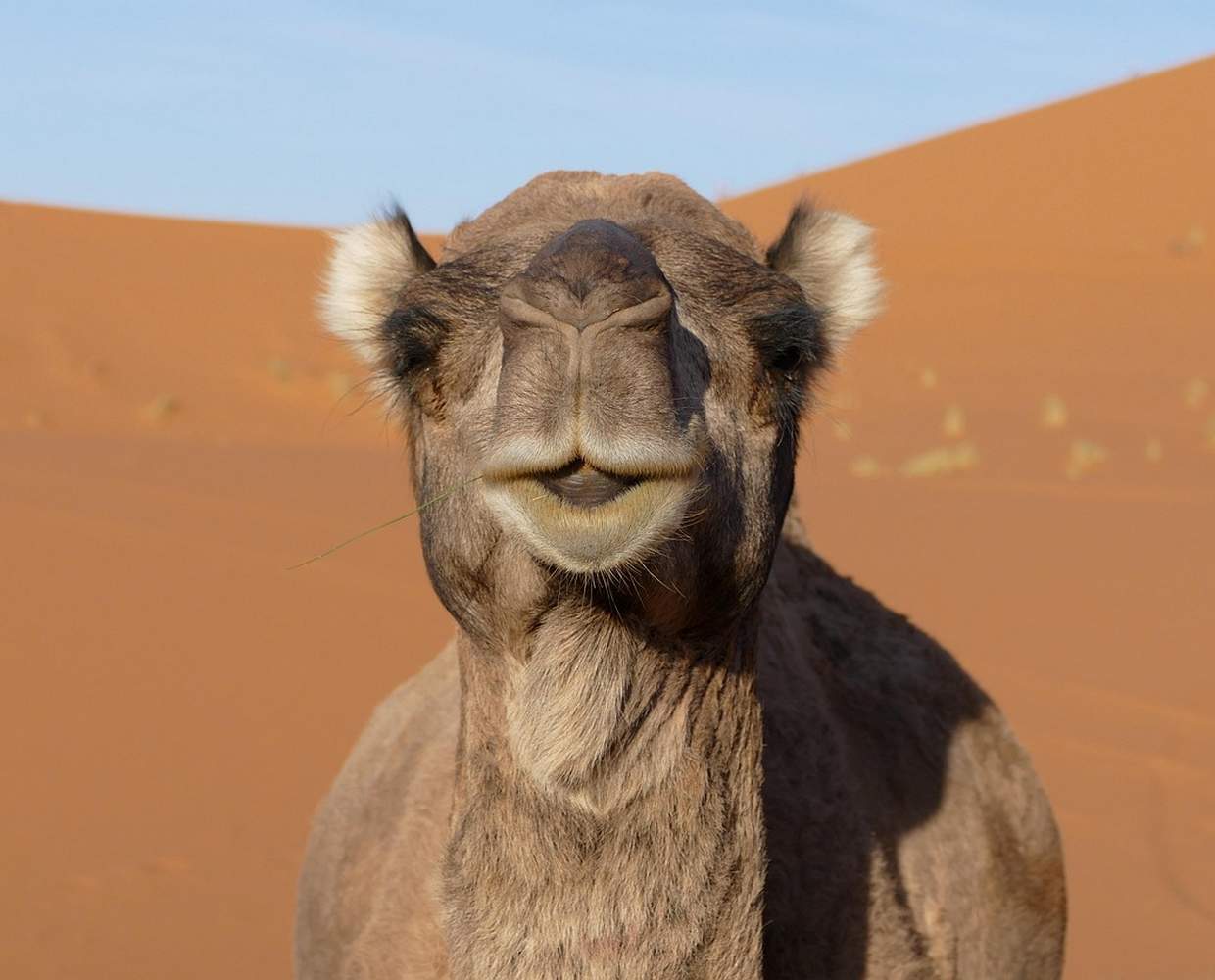 Les Éclaireurs du Voyage - Destination - Maroc - Itinéraire 4 - Image itinéraire - Merzouga by Nici Keil on Pixabay