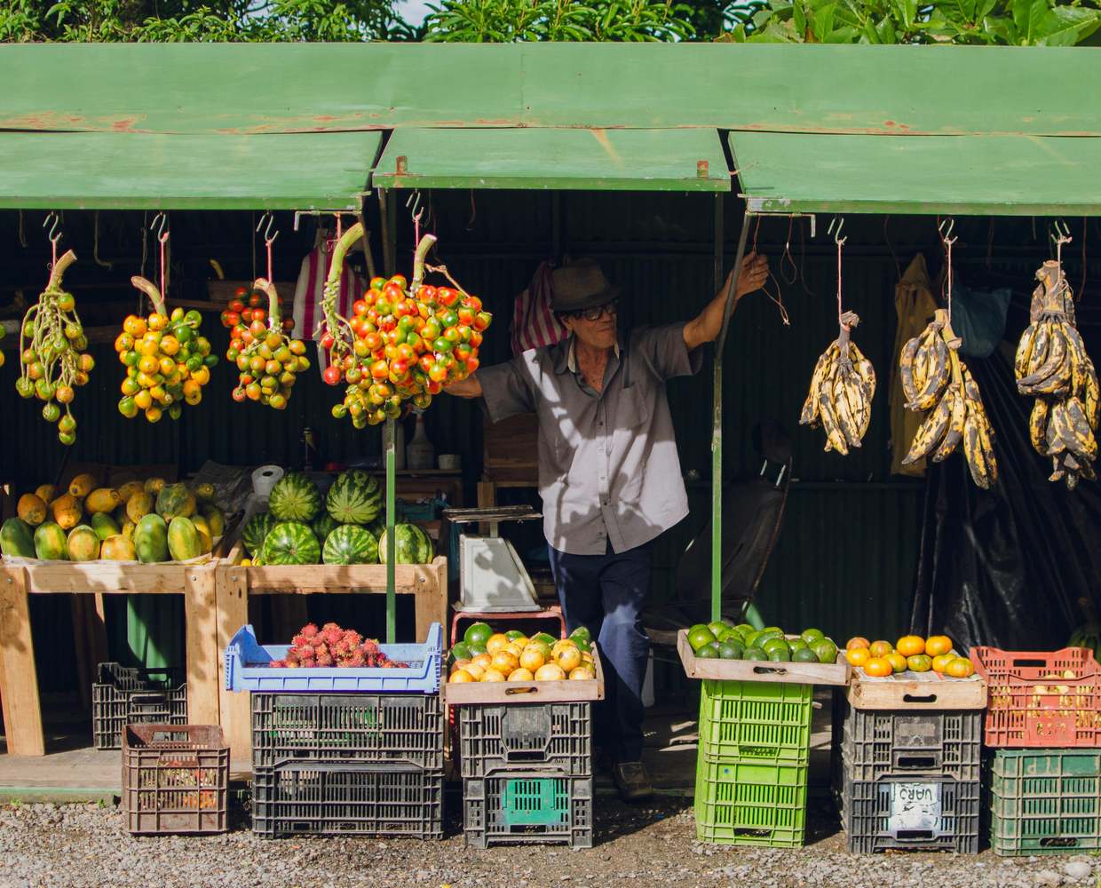 Les Éclaireurs du Voyage - Destination - Costa Rica - Itinéraire 4 - Image itinéraire - Sarapiqui by Armandobelsoj on Pexels