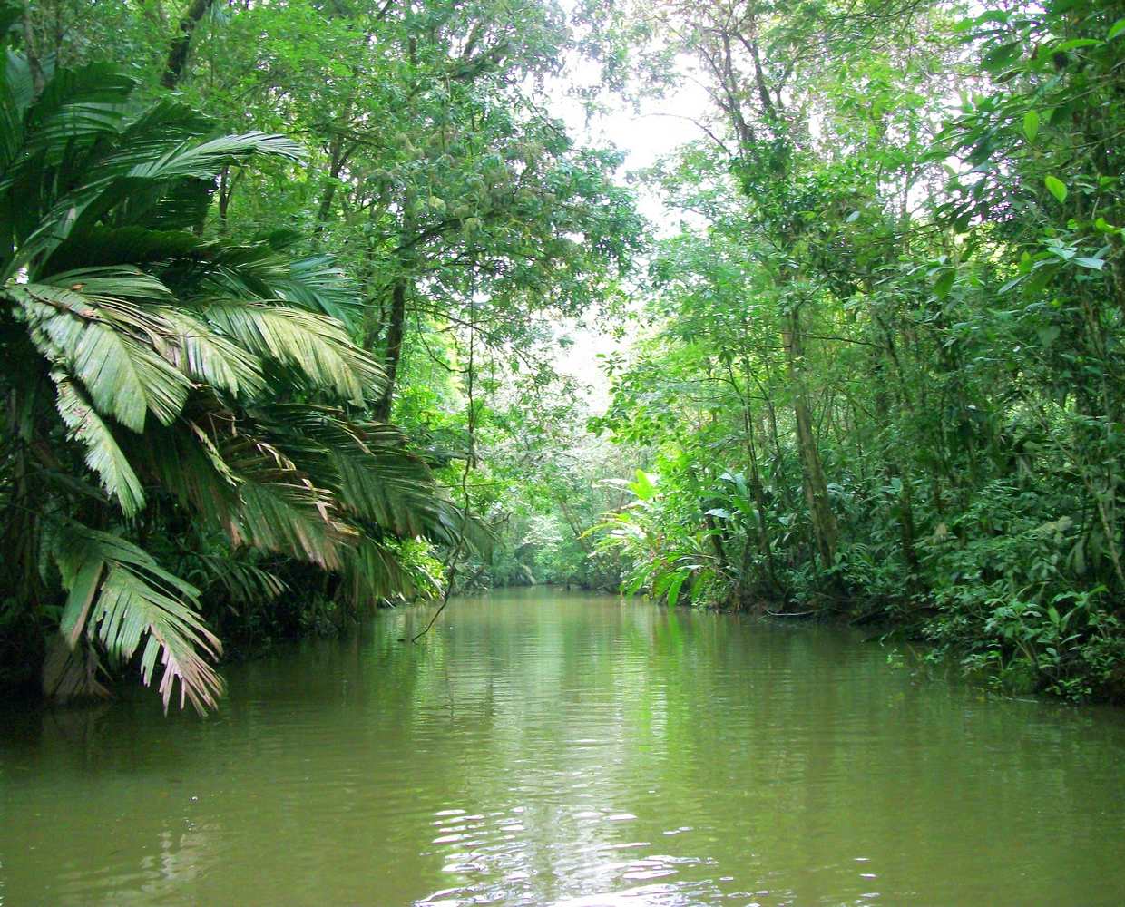 Les Éclaireurs du Voyage - Destination - Costa Rica - Itinéraire 4 - Image itinéraire - Tortuguero by Hyparxis on Pixabay