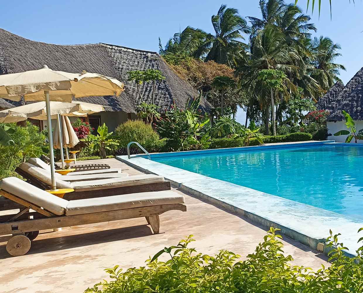 Les Éclaireurs du Voyage - Journal - Blog - Article 28 - Zanzibar - en famille à Kizimkazi by Stéphanie Taupin