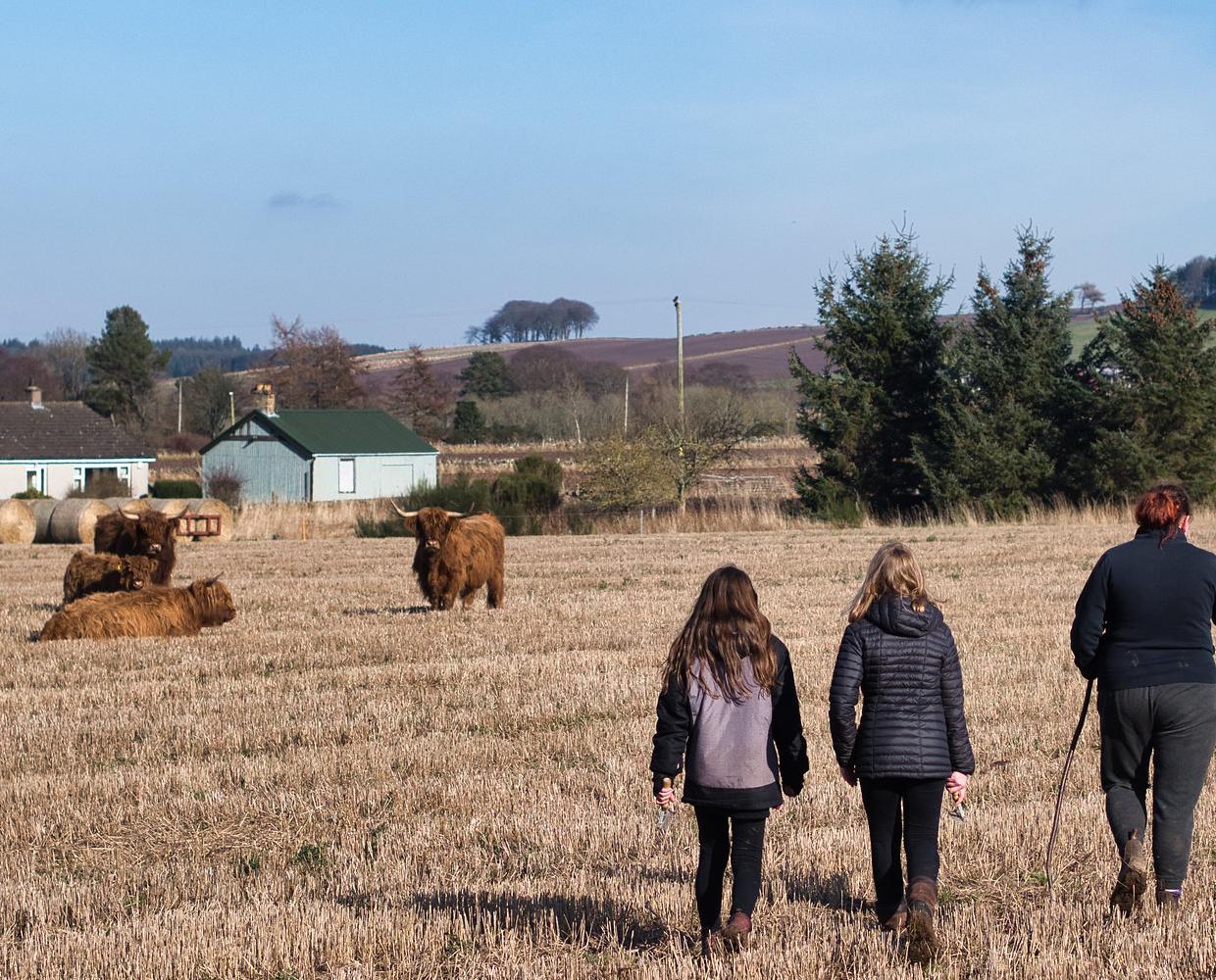 Les Éclaireurs du Voyage - Journal - Blog - Article 31 - Ecosse - Ecosse en famille séjour à la ferme by Louise Nicoll