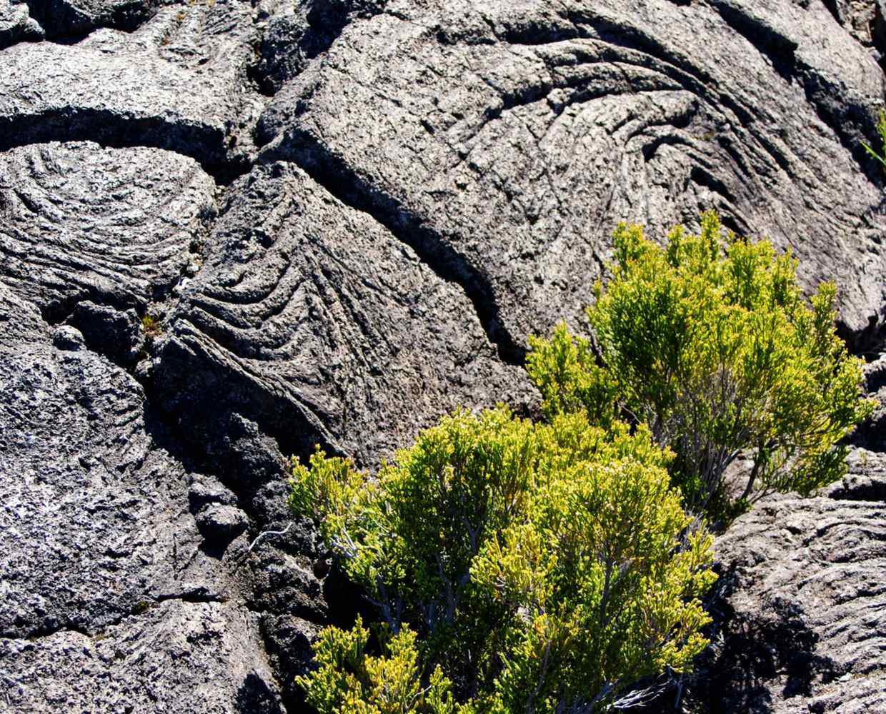 Les Éclaireurs du Voyage - Destination - La Réunion - Itinéraire 1 - Image itinéraire - Piton de la Fournaise by marion beraudias from Pixabay