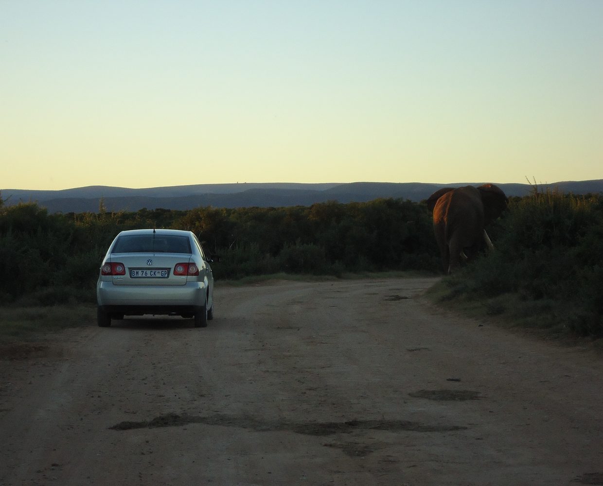 Les Éclaireurs du Voyage - Journal - Blog - Article 32 - Afrique du Sud - Permis de conduire en Afrique du Sud by Stéphanie Taupin