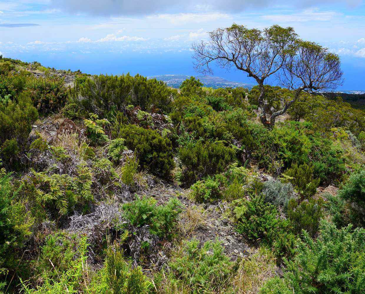 Les Éclaireurs du Voyage - Destination - La Réunion - Itinéraire 2 - Image itinéraire - randonnée by photosforyou from Pixabay