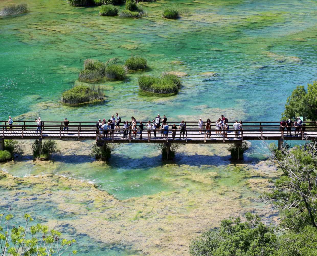 Les Éclaireurs du Voyage - Journal - Blog - Article 33 - Albanie - Croatie ou Albanie en été Plitvice by monique buchholz on pexels